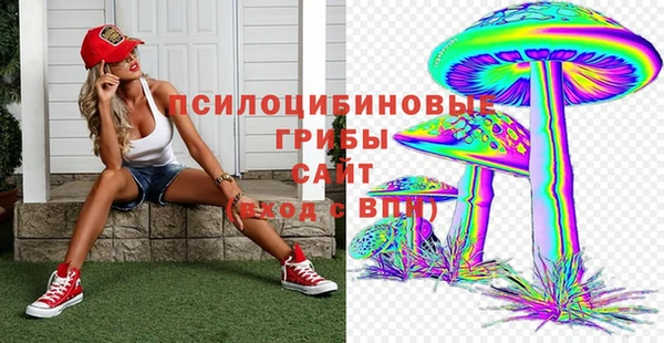 бутират Карабаш